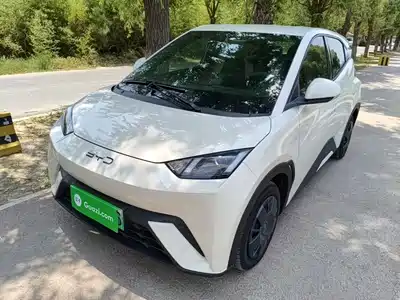 BYD Seagull 2025