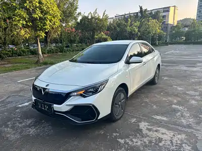 Venucia D60EV 2024