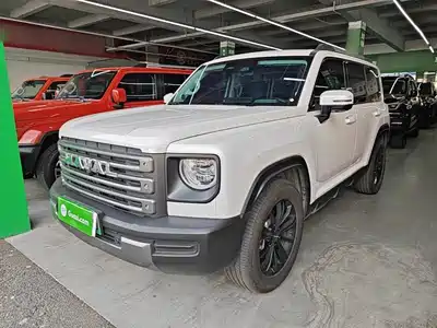Haval Meng Long NEV 2025