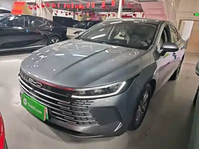BYD Destroyer 05 2024