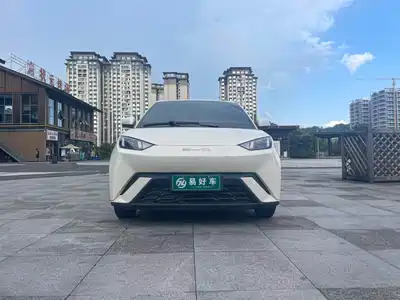 BYD Seagull 2024
