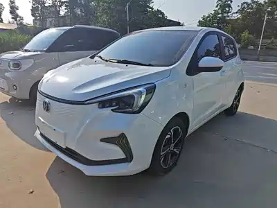 Changan Benben E-Star 2020