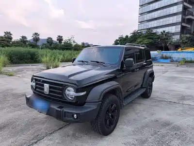 Tank 300 2021