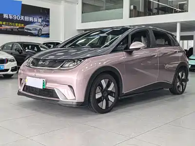 BYD Dolphin 2022