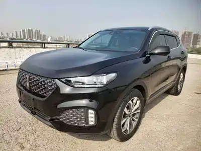 WEY VV6 2020