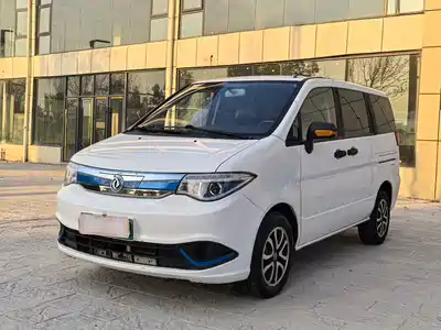 Dongfeng Succe New Energy 2020