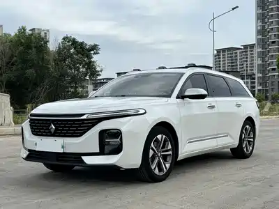 Baojun Valli 2023