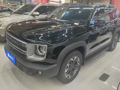Haval Big Dog 2025