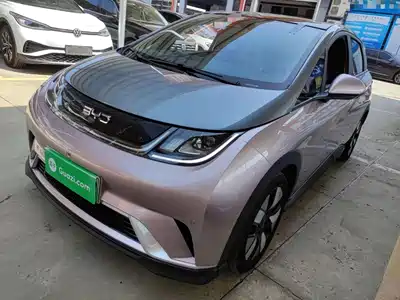 BYD Dolphin 2024