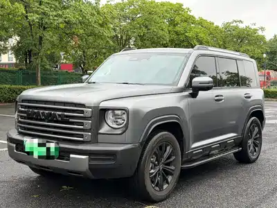Haval Meng Long NEV 2025