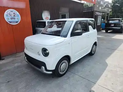 Ruilan Auto Blue Elf 2026