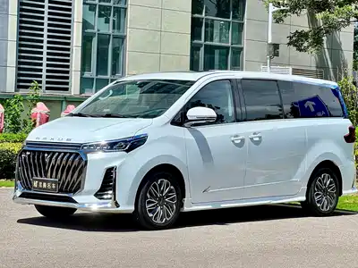 SAIC Maxus G20 2023