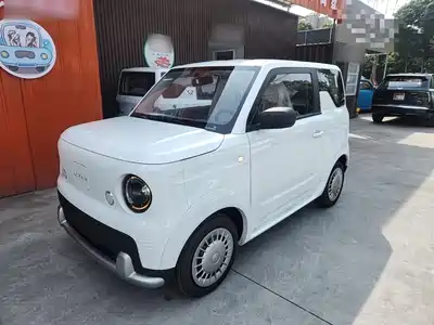 Ruilan Auto Blue Elf 2026