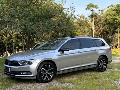 Volkswagen Weilan 2019
