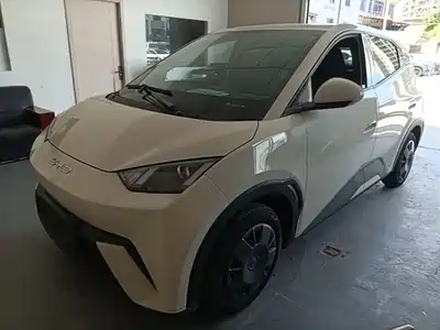 BYD Seagull 2024