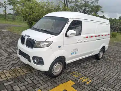 SRM Xinyuan New Energy Little Sea Lion EV 2020