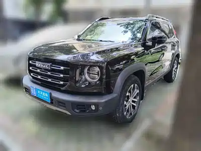 Haval Big Dog 2021
