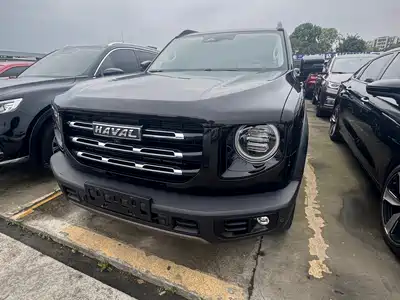 Haval Big Dog 2021