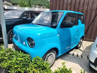 Ruilan Auto Blue Elf 2026