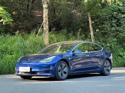 Tesla Model 3 (Import) 2019