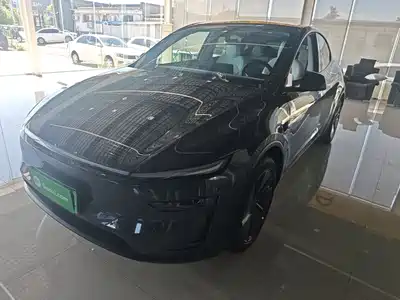 Tesla Model Y 2025