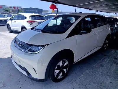 BYD Dolphin 2026