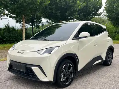 BYD Seagull 2024
