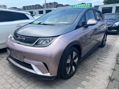BYD Dolphin 2022