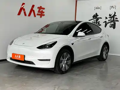 Tesla Model Y 2021