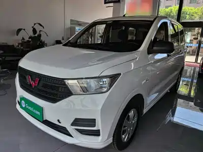 Wuling Motors Hongguang 2024