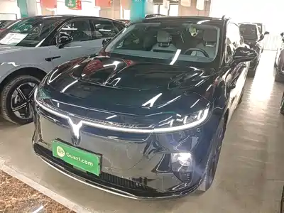 Voyah Auto Zhiyin 2025