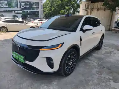 Voyah Auto Zhiyin 2025