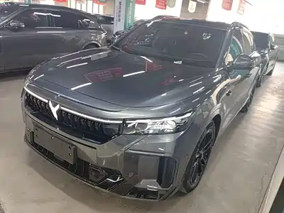 Voyah Auto FREE 2025