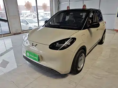 Wuling Motors Bingo 2023