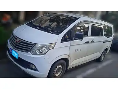 Wuling Motors Journey Classic 2015