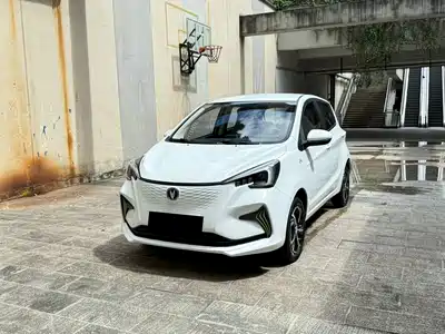 Changan Benben E-Star 2021