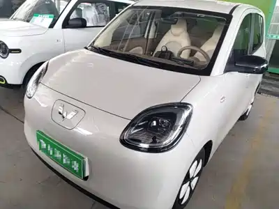 Wuling Motors Hongguang MINIEV 2025