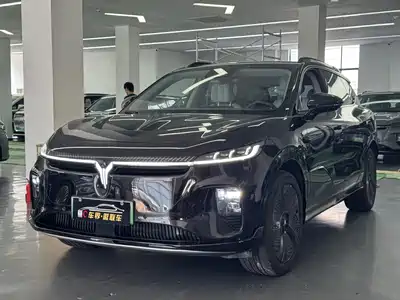 Voyah Auto Zhiyin 2025