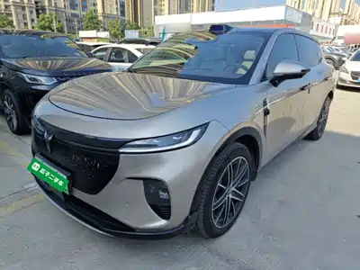Voyah Auto Zhiyin 2025