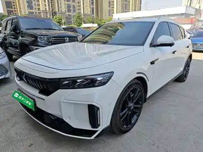 Voyah Auto FREE 2023