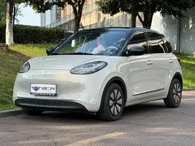 Wuling Motors Bingo 2024