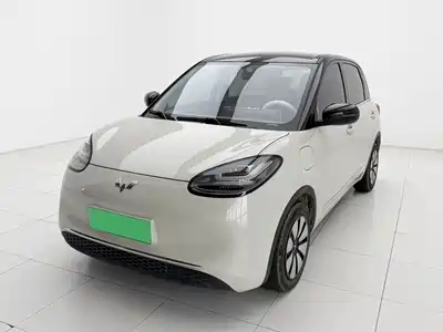 Wuling Motors Bingo 2024