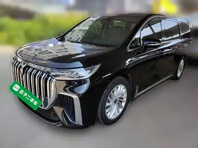 Voyah Auto Dreamer 2024