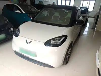 Wuling Motors Bingo 2024
