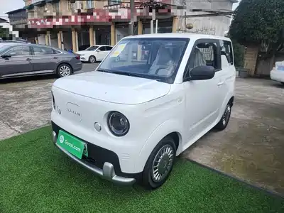 Ruilan Auto Blue Elf 2026