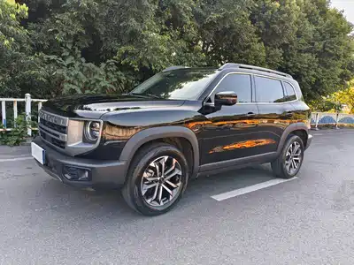 Haval Big Dog 2024