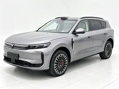 Voyah Auto FREE 2025