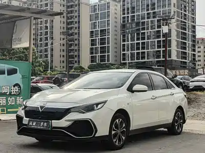 Venucia D60EV 2021
