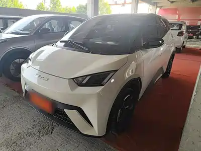 BYD Seagull 2024