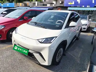 BYD Seagull 2024